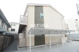 アムール白楽の画像