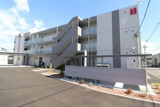 ジャスミンの画像