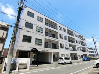 αNEXT上小出第1の画像