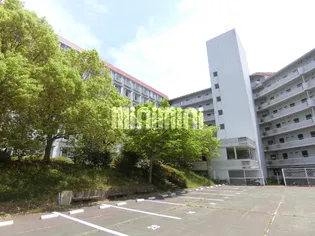 宮城県仙台市泉区天神沢1【マンション】の外観