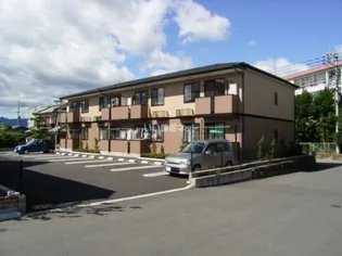 ペリプエストの画像