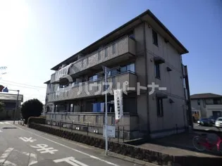 セジュール山の根の画像