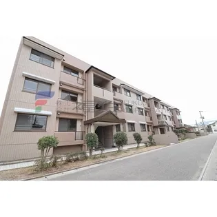 コンダクトヴィレッジ若久の画像