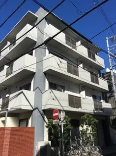 ドマーニ鷹匠の画像