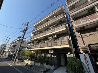 エヴァーグリーン ラピスの画像