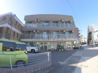 サウスヒルズ【3階】の外観