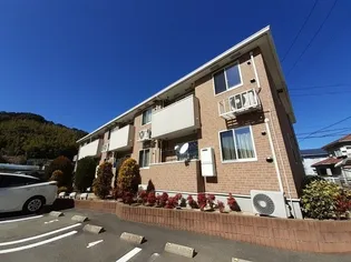 ナチュラル フラットの画像