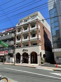 レーヴエスチュエールVIIの画像