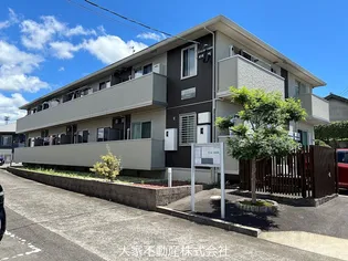 カトレアの画像