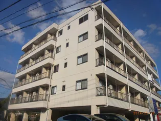 トゥルースの画像