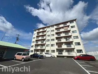 徳島県徳島市津田浜之町【マンション】の外観