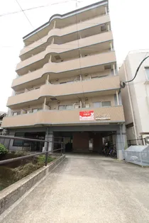 ピュア松川の画像