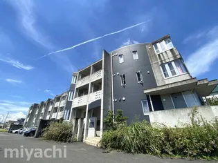 WILL G島田の画像