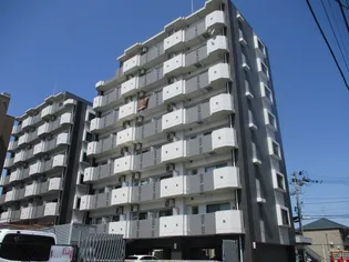 サンヴァーリオ新田駅前Ⅶの画像