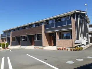 ニューリーフCの画像