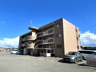 サングレイスの画像