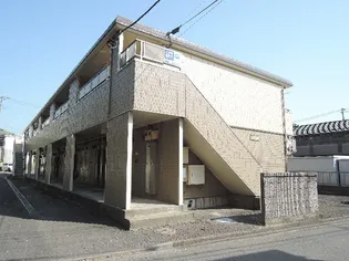シティハイムパンジーの画像