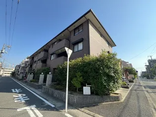 メゾン プランドールの画像