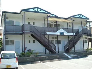 プラシードの画像