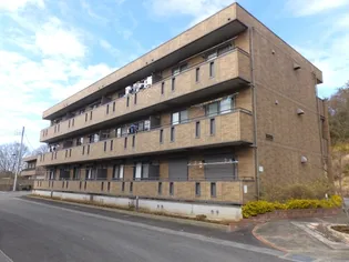 グレースヒルズ II【3階】の外観