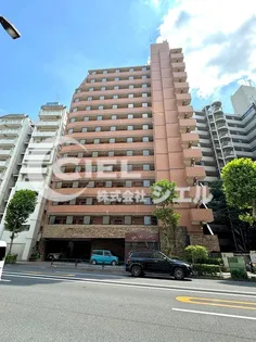 ガラ・グランディ練馬【14階】の外観