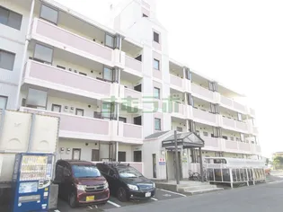 メゾンド加納II【2階】の外観