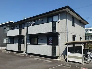 ビオラ Cの画像