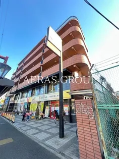 パピヨンドルメールの画像