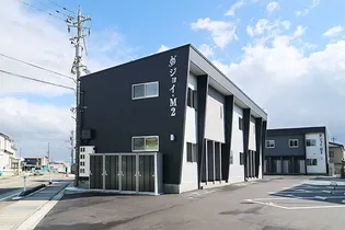 ジョイM2の画像