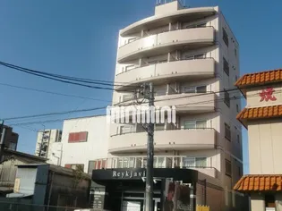 ルネッサンスワンの画像