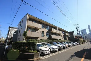 バーリントンコートの画像