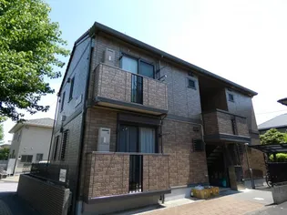 アムールの画像