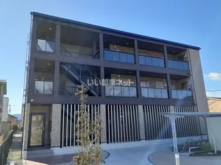 ライニーバ Kの画像