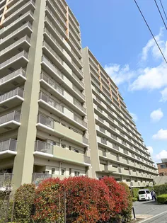 マーキスシティの画像