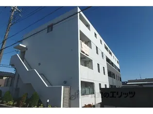 フェリスの画像