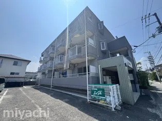 徳島県徳島市北常三島町3【マンション】の外観