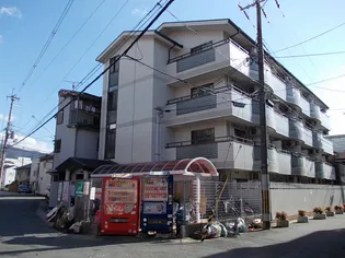 ソリュードの画像