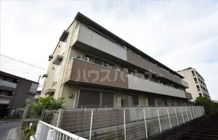 トレニアコートの画像