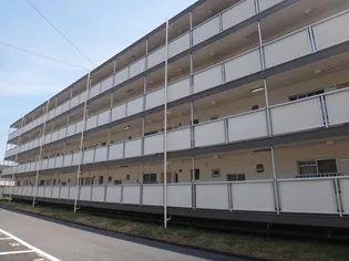 広島県廿日市市宮内4【マンション】の外観