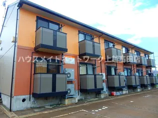 エヴァーグリーンの画像