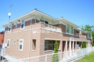 南十字星の画像