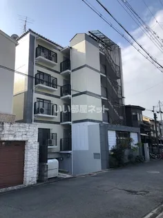 インペリアルアカシヤの画像