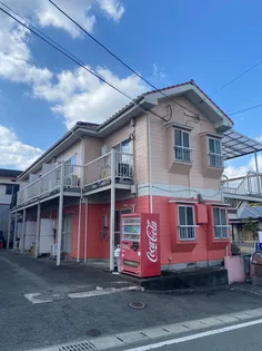 オレンジフローラIIの画像