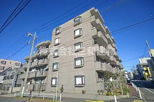 レヴィオンの画像