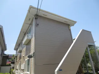 コリーヌの画像