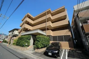 フィオーレ ジュネスの画像