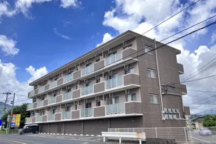 ブルーサンシャインIIIの画像