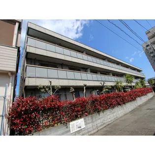 MANSION GREEN GRASSの画像