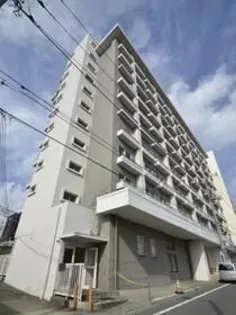 ハヤマビルの画像