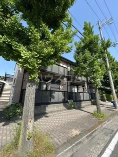 セレーノ桂【1階】の外観